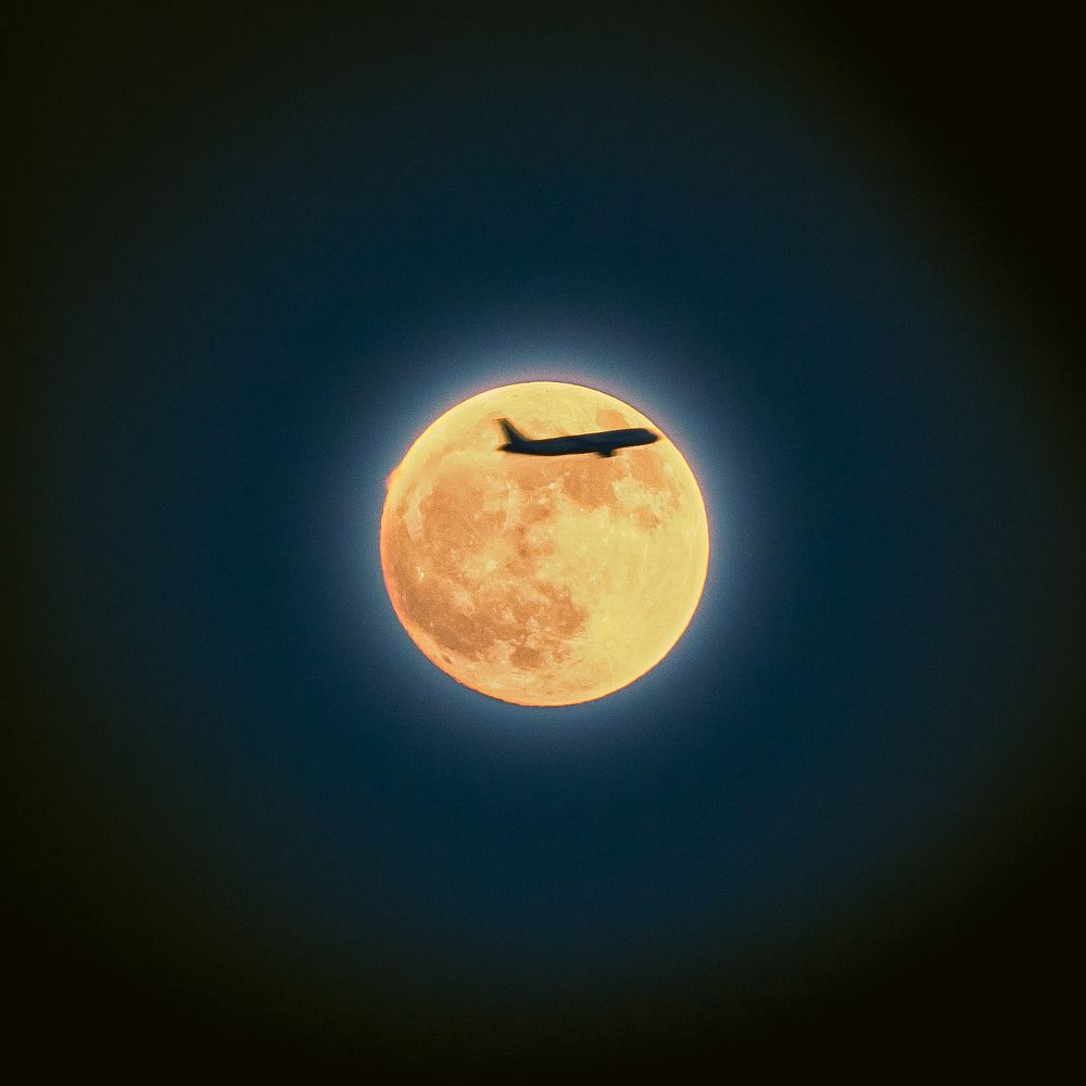 Photograph by Krish Bagri