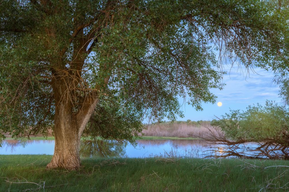 Photograph by Роман Филиповец