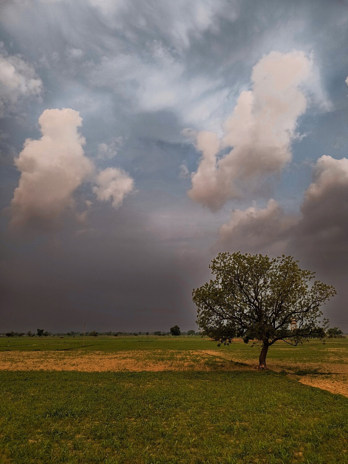 Photo #11056438