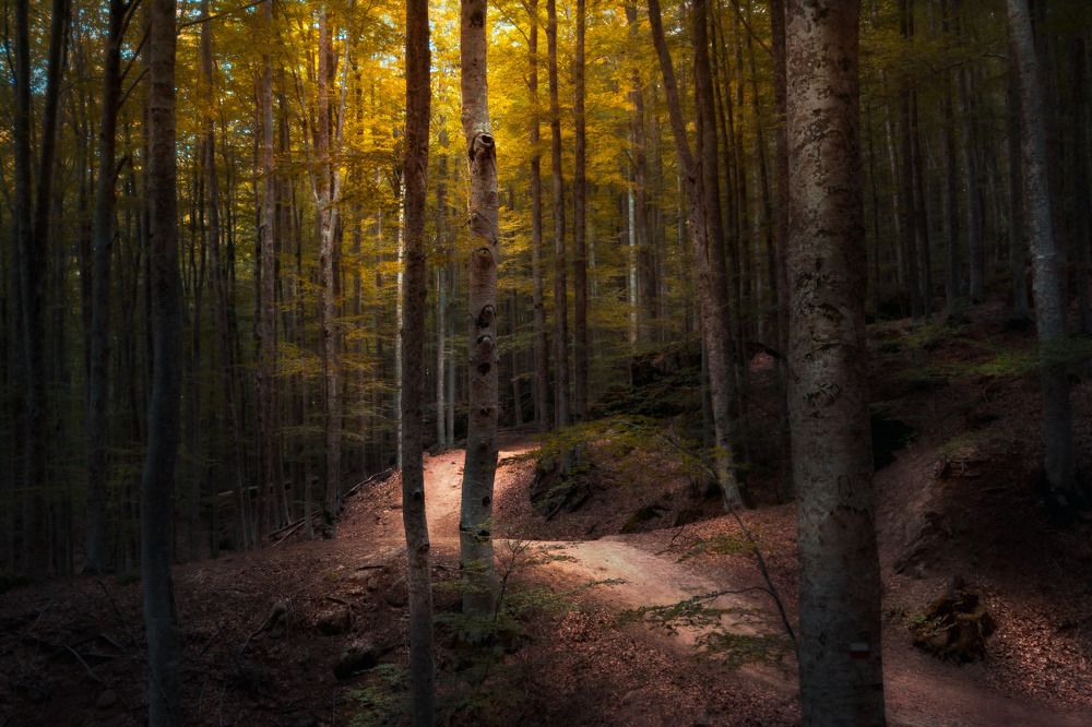 Photograph by Jorge Luis Cresti