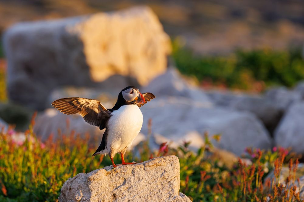 Photograph by Valentin Kolinko