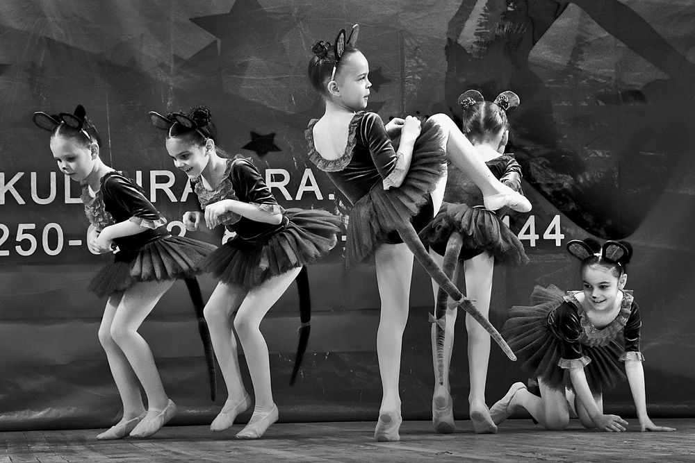 Мышиная история