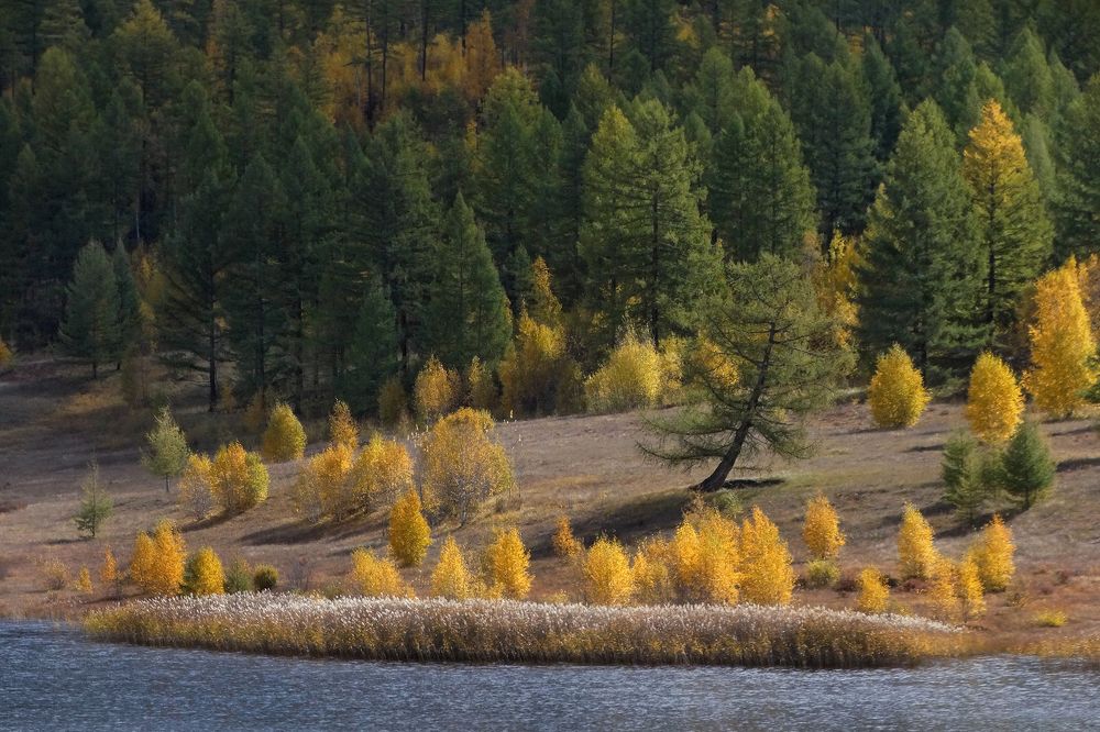 Photograph by Александр Попов