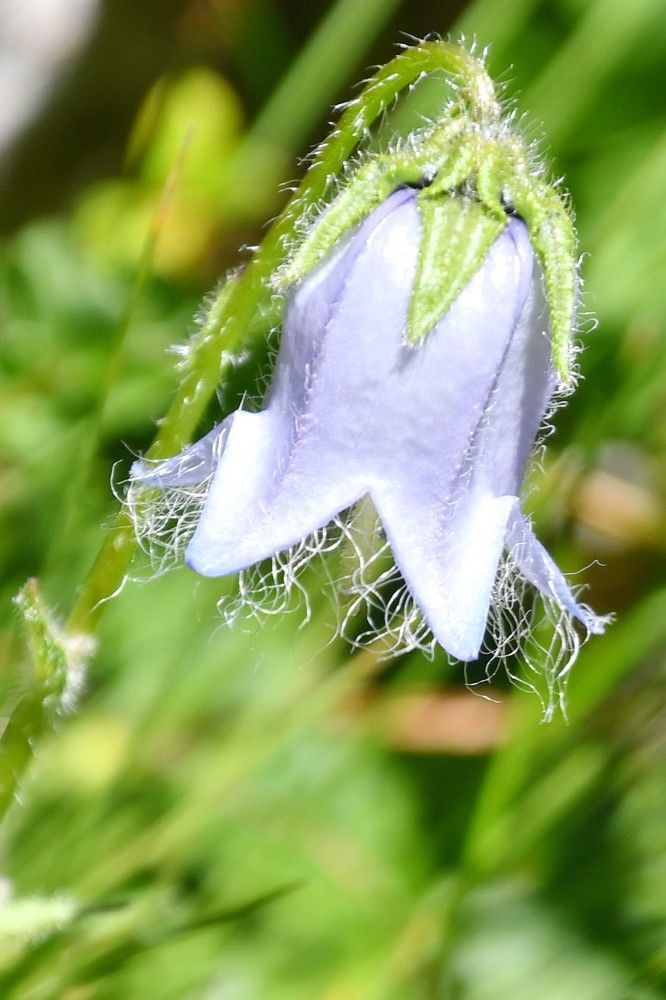 Photograph by Marzio Fattorini