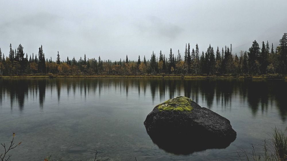 Photograph by Анна Семенова