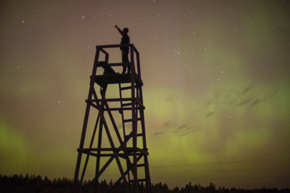 Поймать звезду