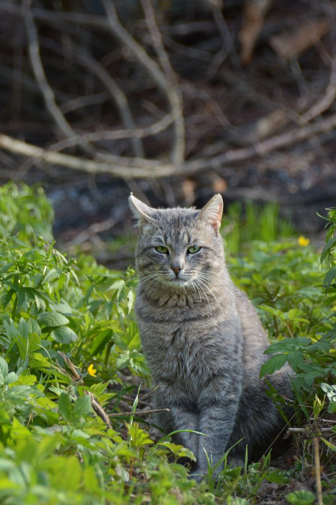 Photograph by Ольга