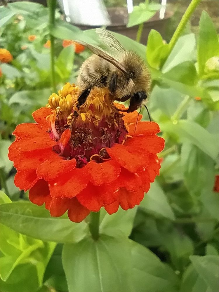 Photograph by Юрий Гордеев