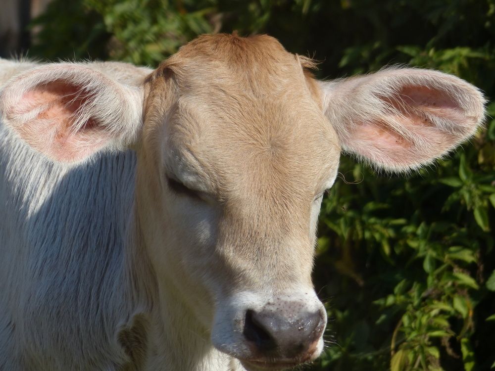 Photograph by Георгий Салюков