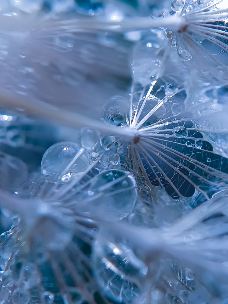 Проекция души