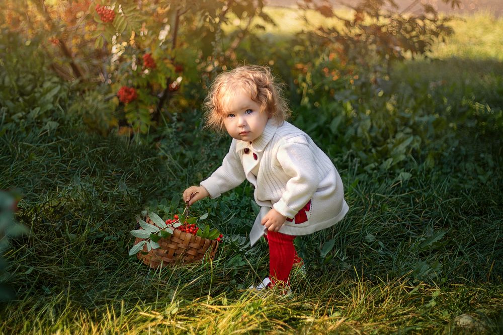 Фотография автора Людмила Аверина