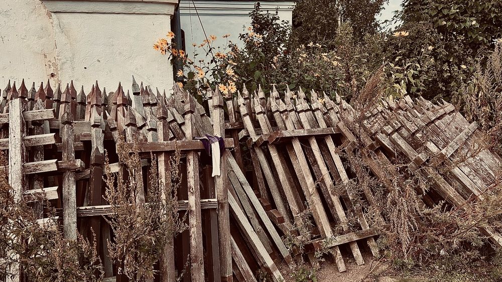 Photograph by Виктория Максименко