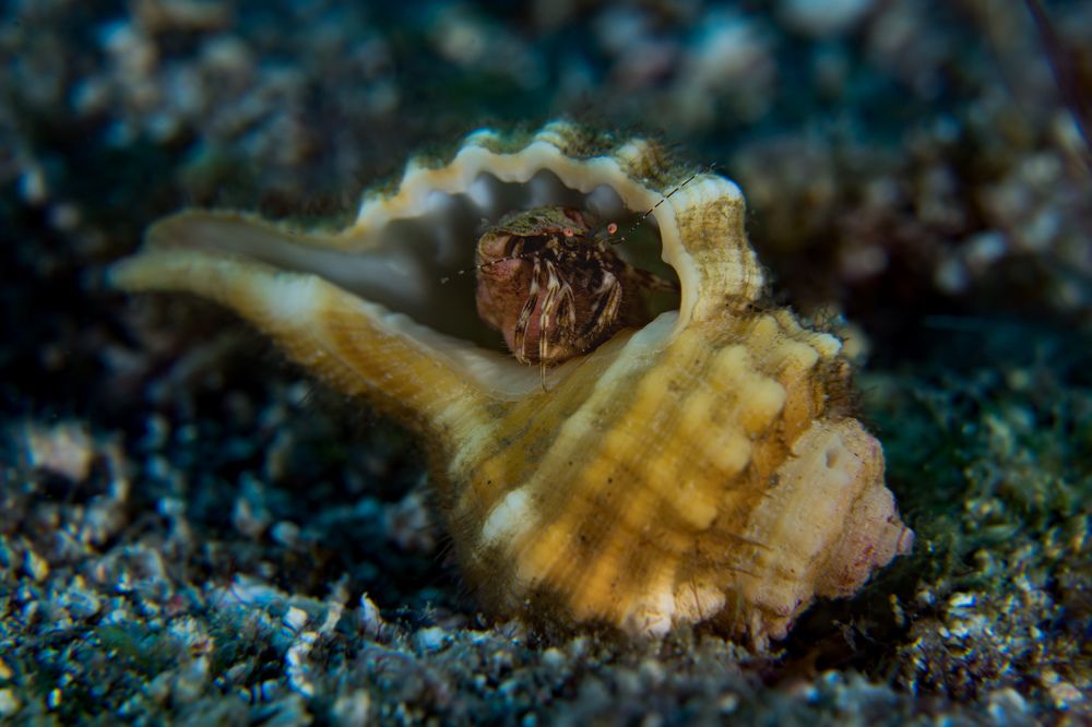 Photograph by Santiago Estrada R