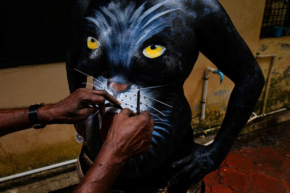 Фотография автора Abie Davies Thekkanath