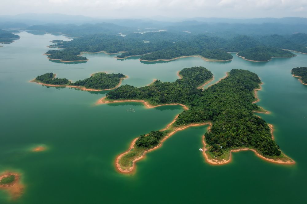 Фотография автора Lien Vu