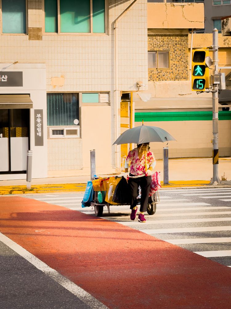 Photograph by Chandana Jayawardhana