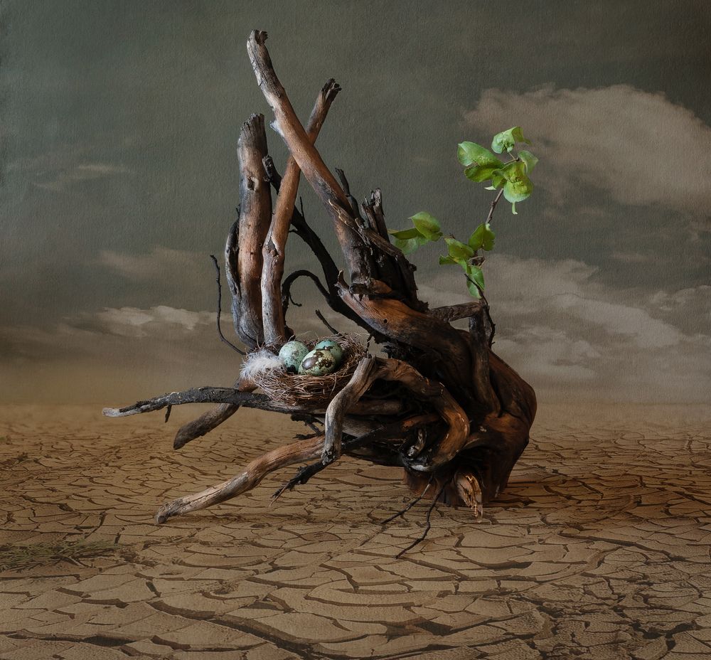 Вопреки, жизнь продолжается.