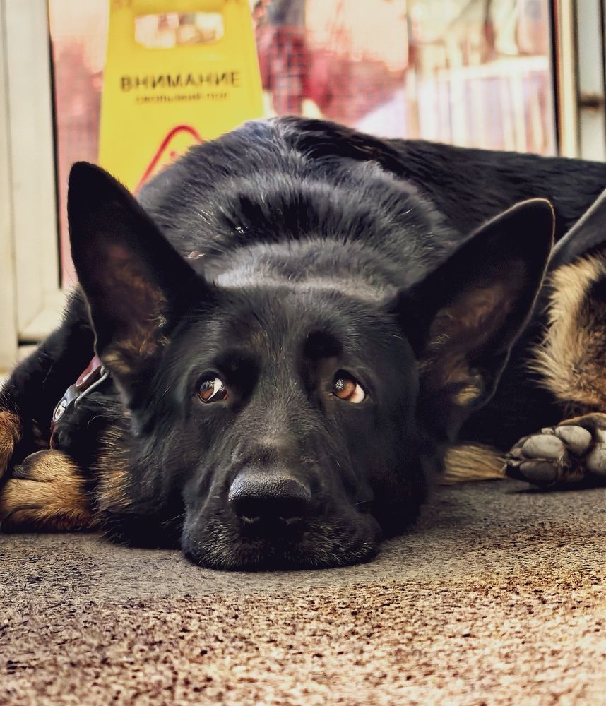 Photograph by Анна Епанчинцева