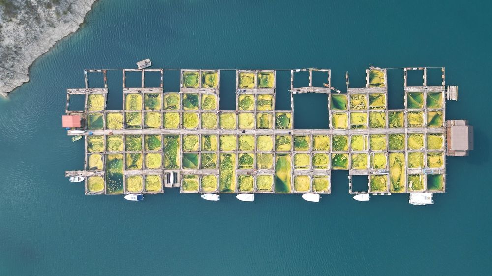 Photograph by Роман Нискажу