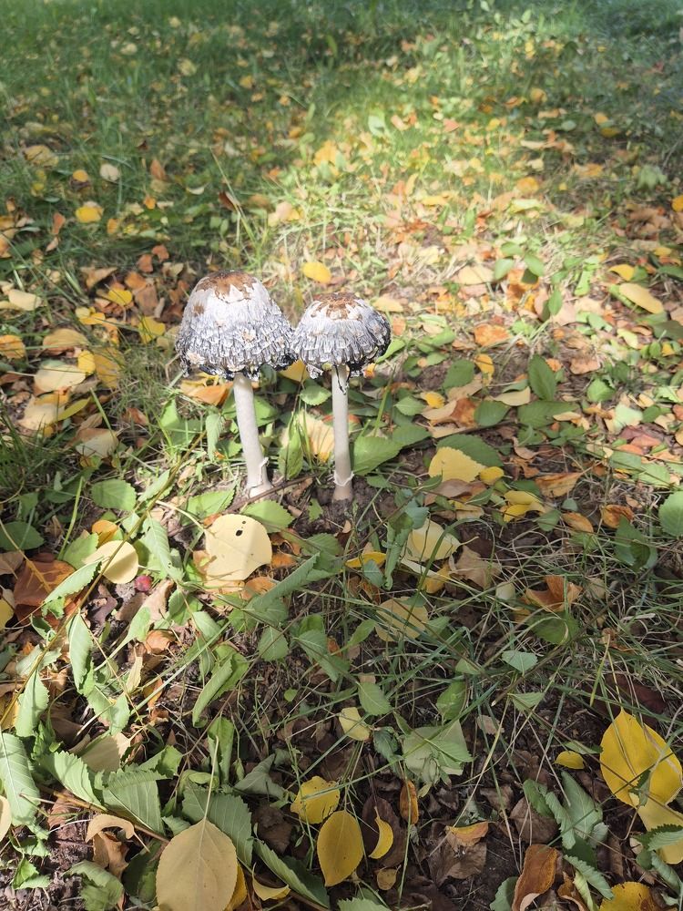 Фотография автора Валентина