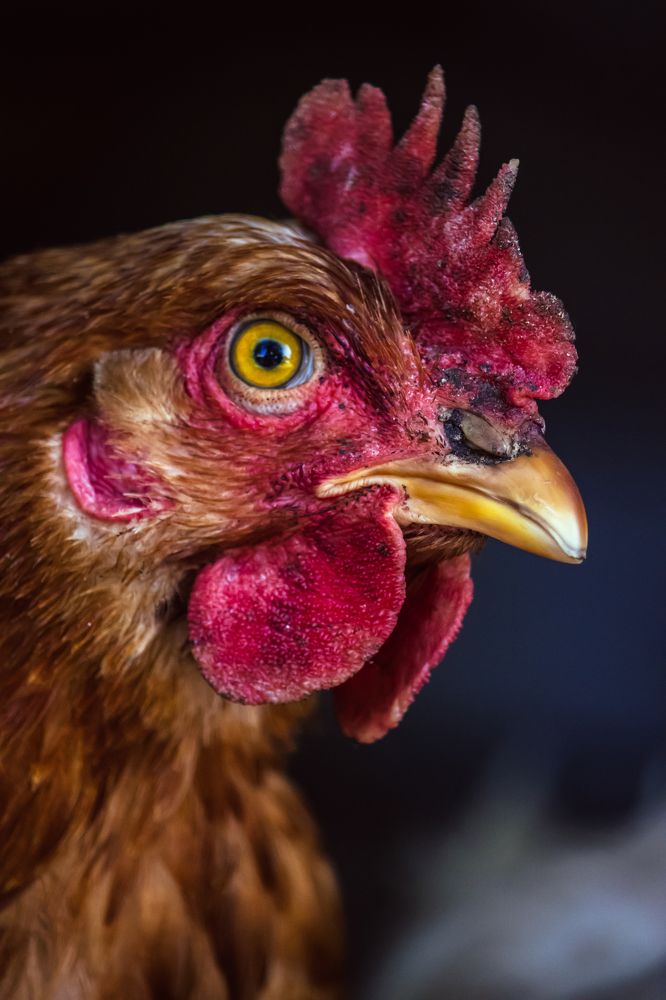 Photograph by Сергей Зайцев