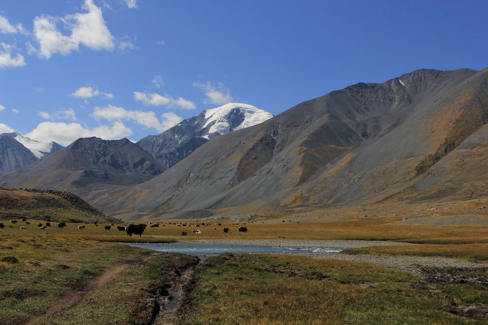 Photograph by Андрей Головин