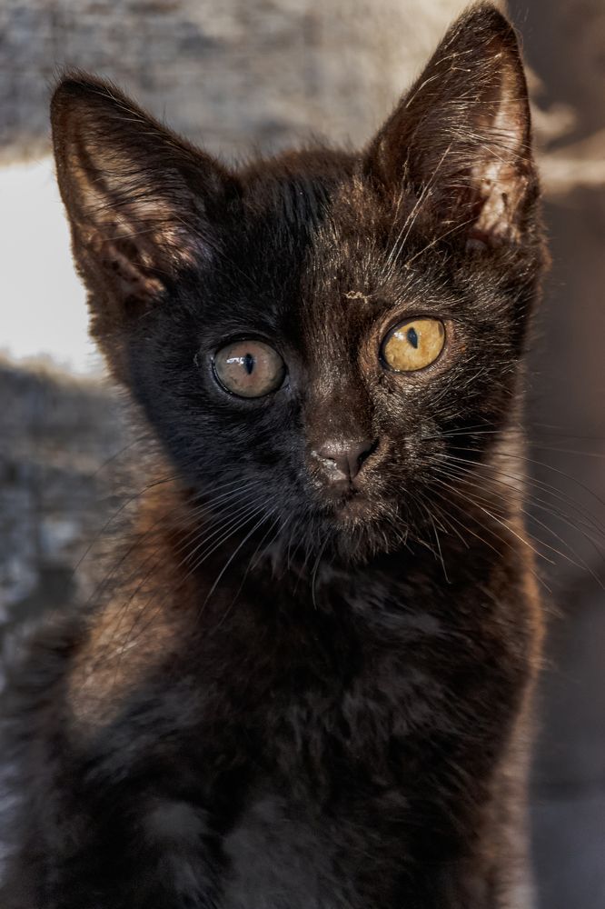 Photograph by Сергей Зайцев