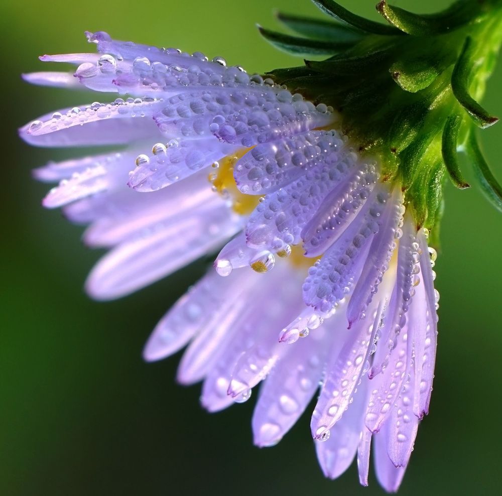 Photograph by Наталья Соколова