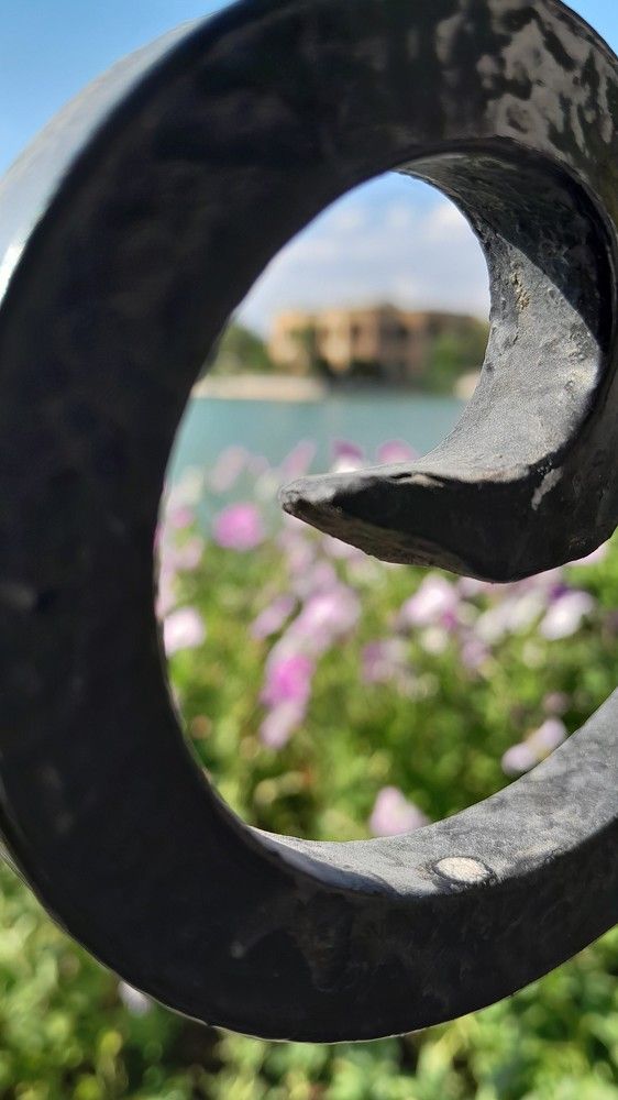 Photograph by Seyedeh Sara Hosseini