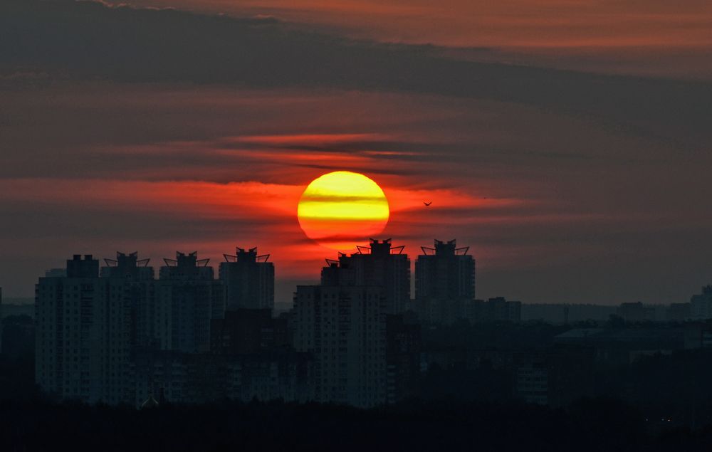 Фотография автора Антип