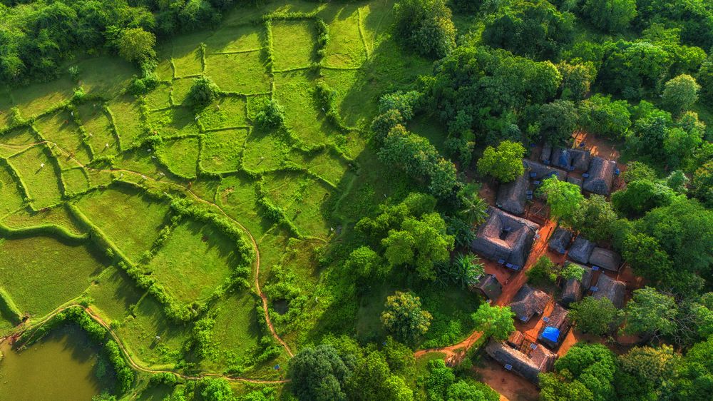 Фотография автора Bikash Das