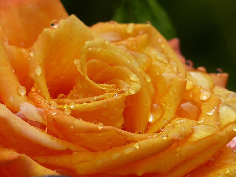 Photograph by Георгий Салюков