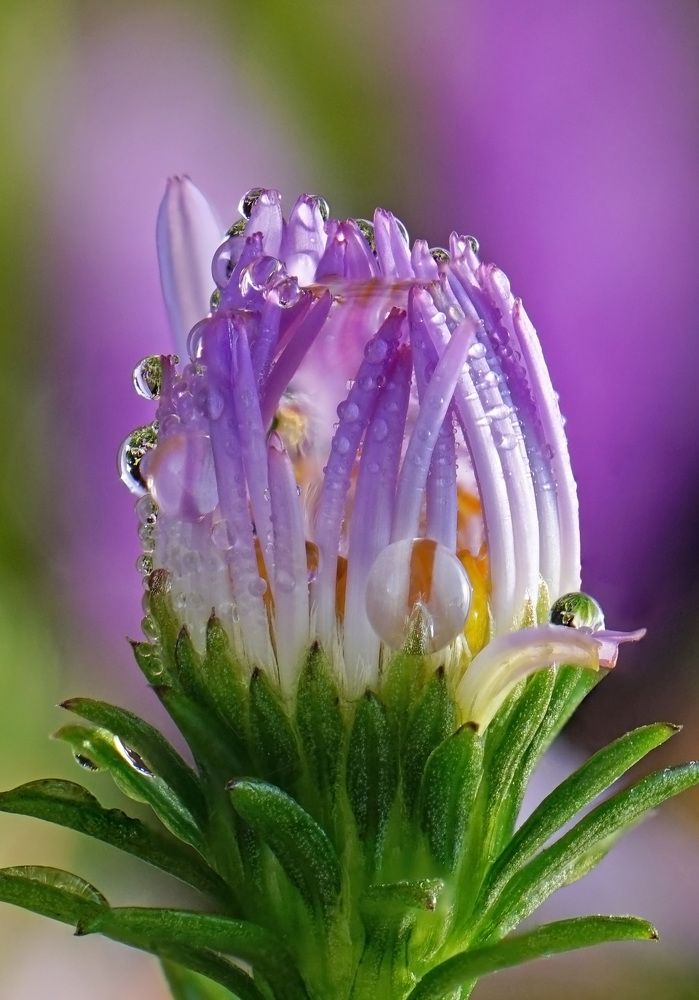 Photograph by Наталья Соколова