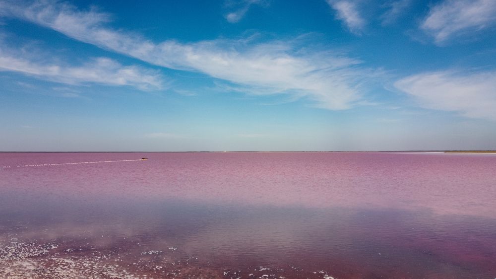 Photograph by Сергей Конюшенко