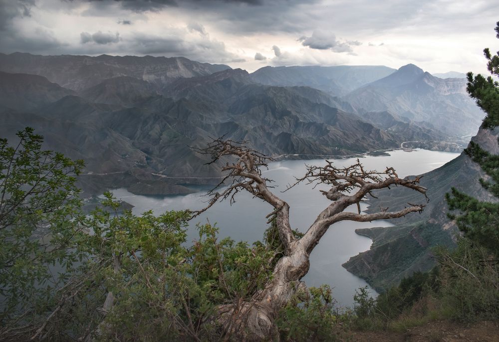 Photograph by Дарья