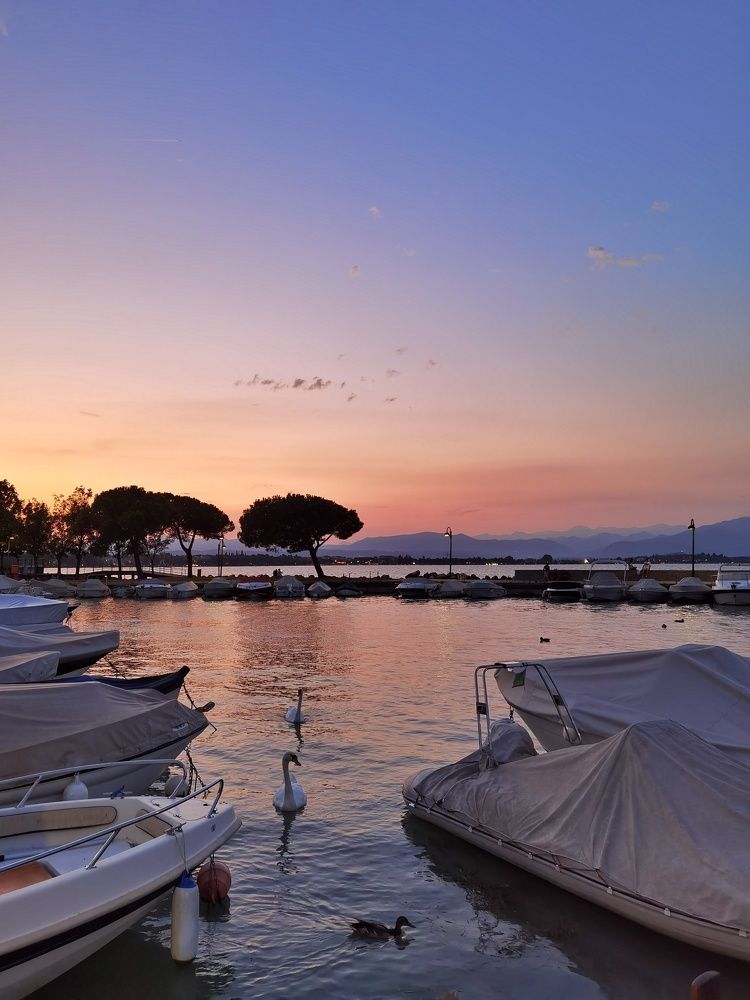 Фотография автора Victoria Vaigant