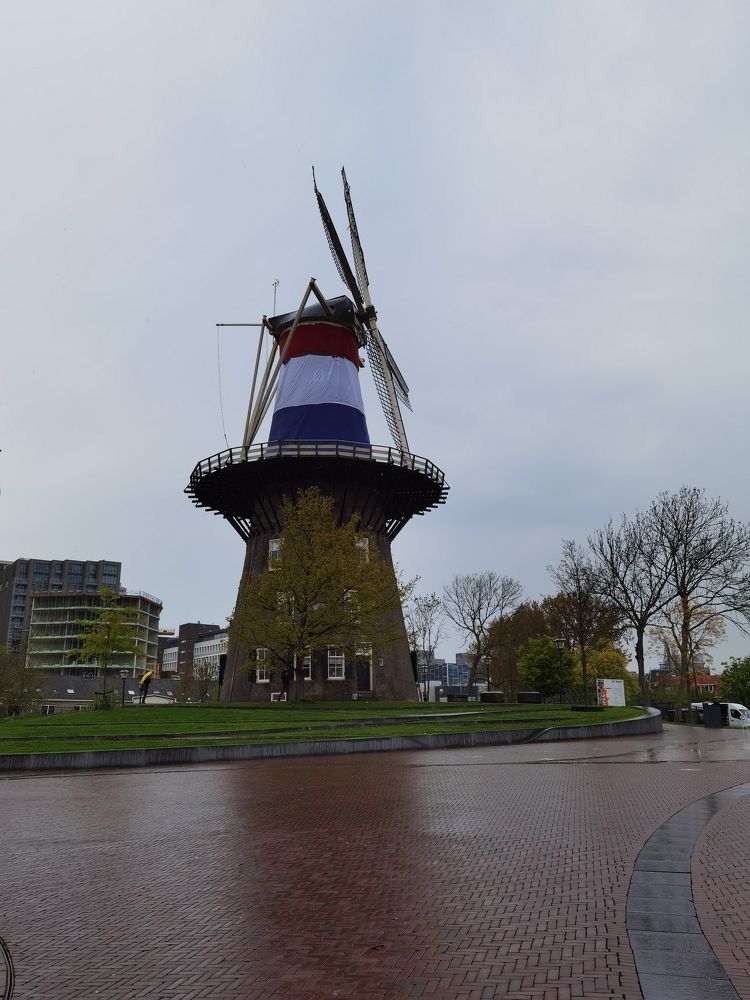 Фотография автора Victoria Vaigant