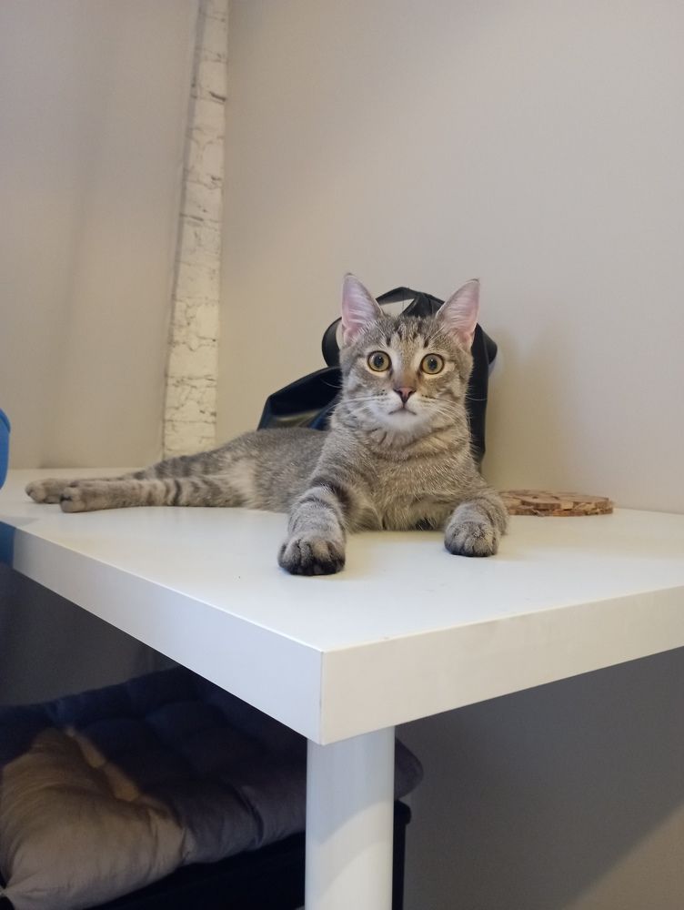 Фотография автора Natalia Khodina