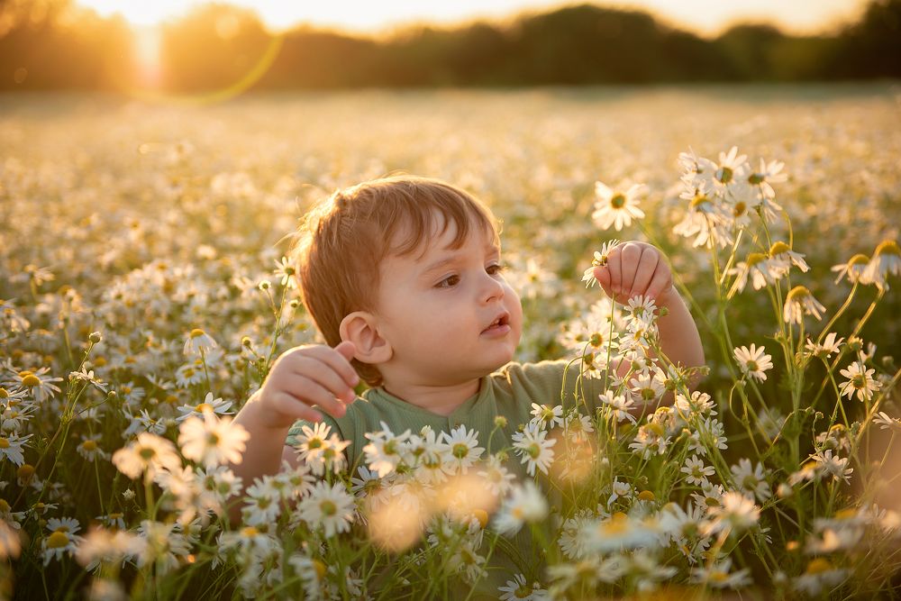 Photograph by Анастасия Камалова