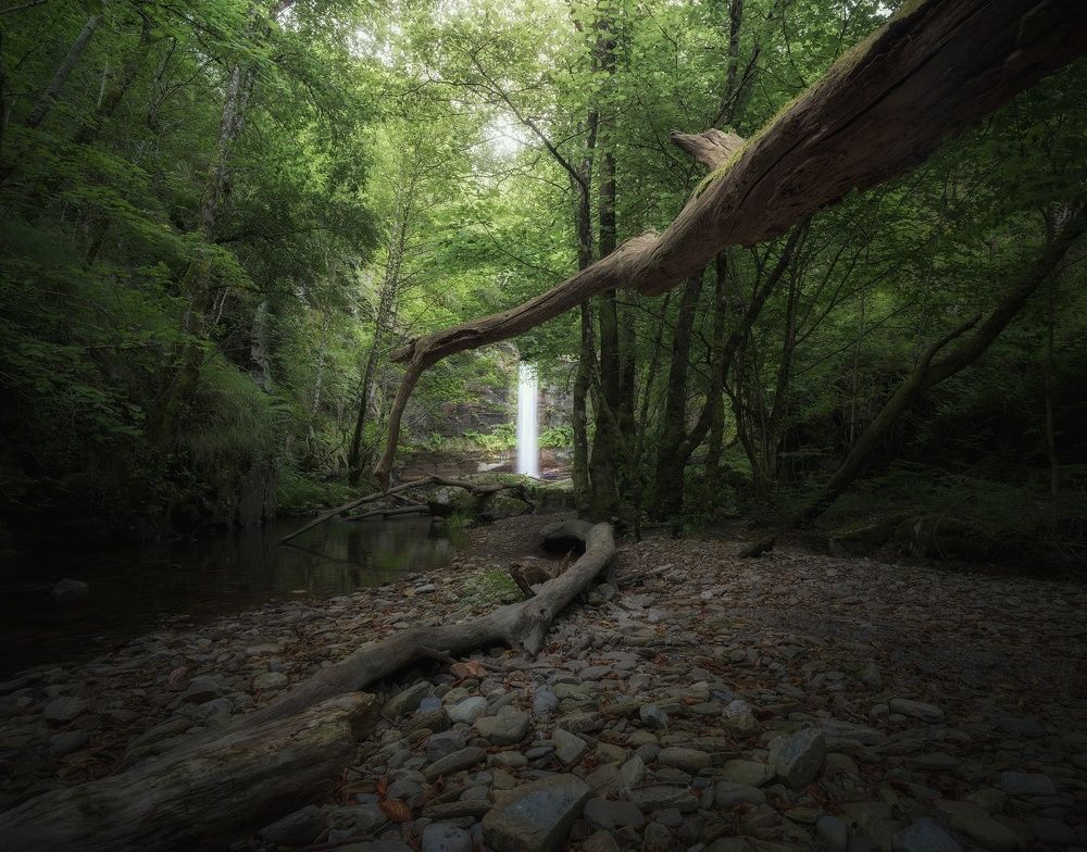 Photograph by Miguel Iglesias