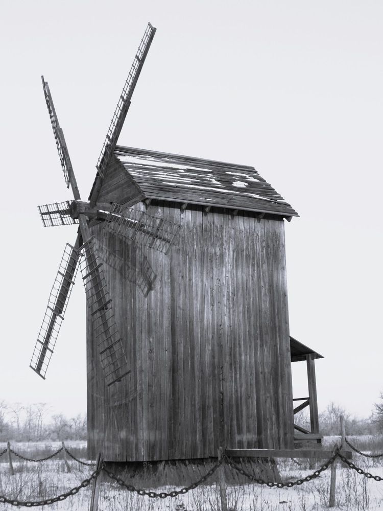 Фотография автора Евгений