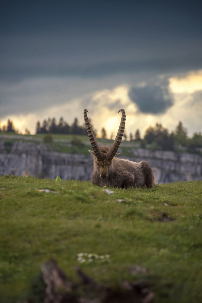 Photograph by Asan Kurtishi