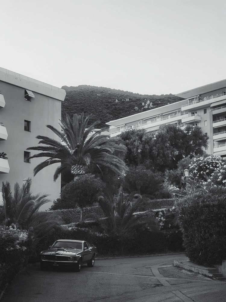 Фотография автора Victoria Vaigant