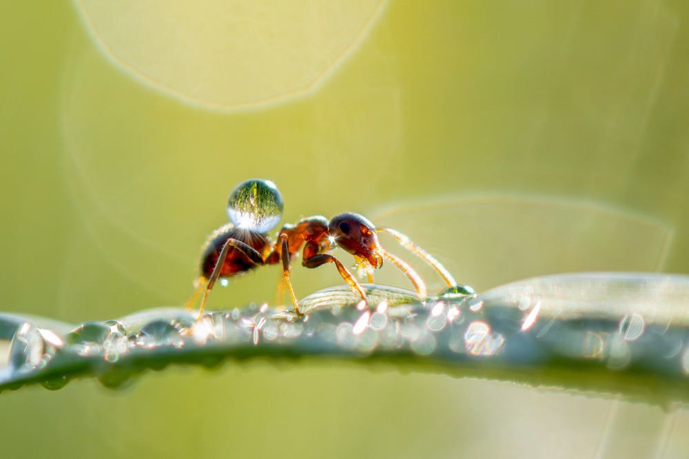 Photograph by Андрей Зуев