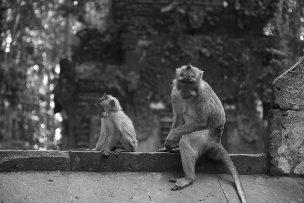 Photograph by Natasa Petkovic