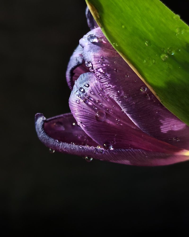 Photograph by Елена Черняк