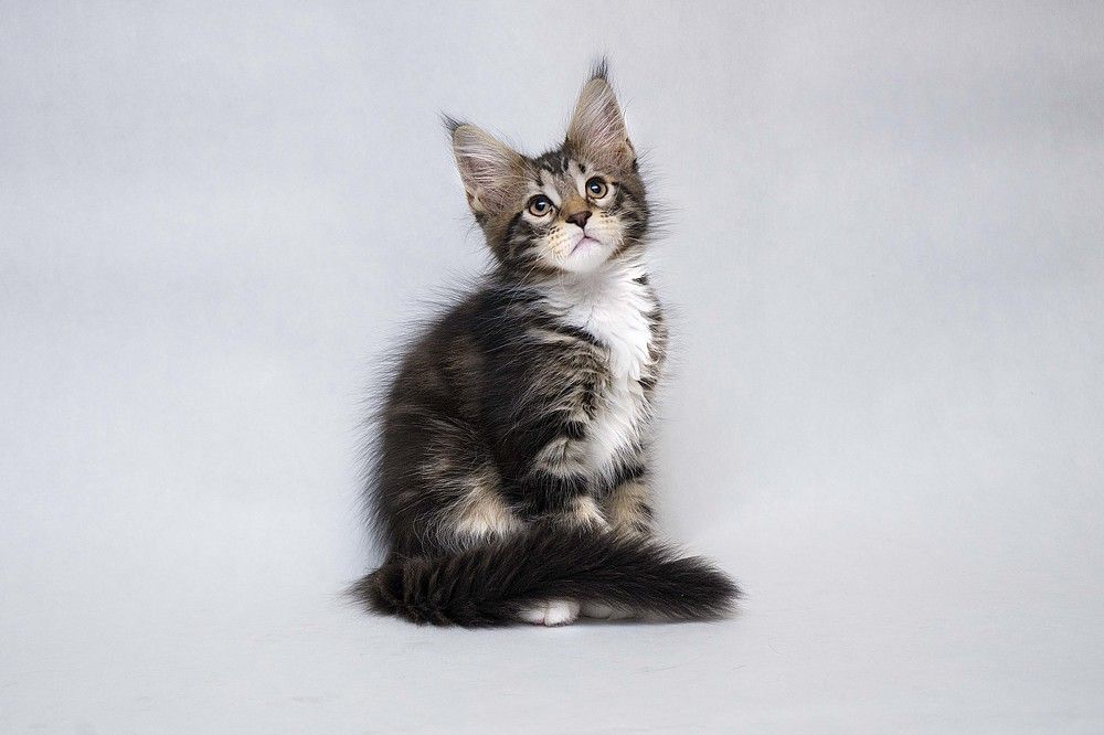 Photograph by Ирина Мамонова