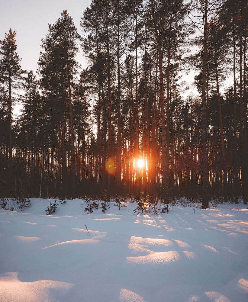 Photograph by Зенченко Алексей