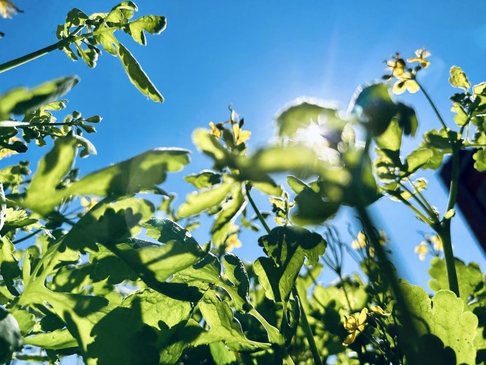 Photograph by ANDREY ZARUBIN