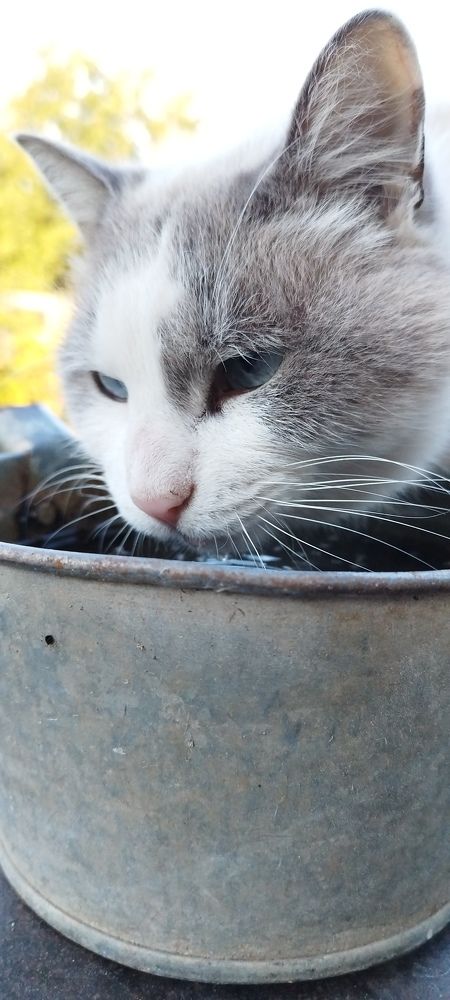 Photograph by роман меринов